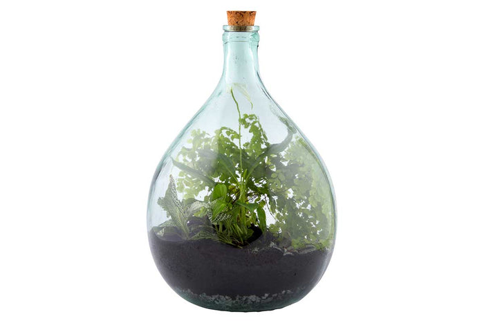 Terrarium bottle set 15lt