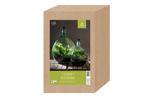 
                  
                    Terrarium bottle set 15lt
                  
                