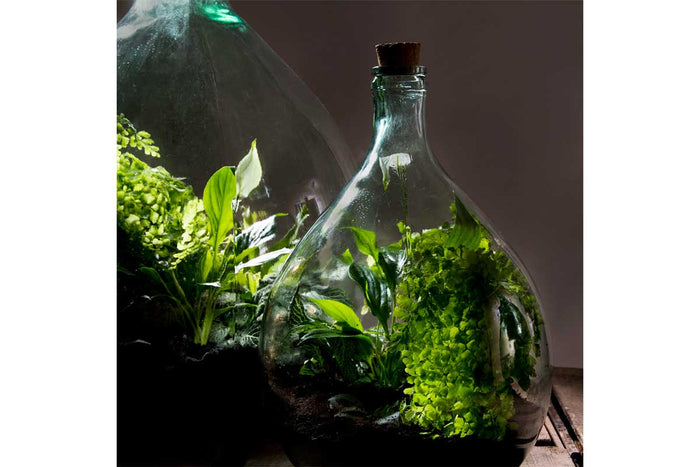 Terrarium bottle set 15lt