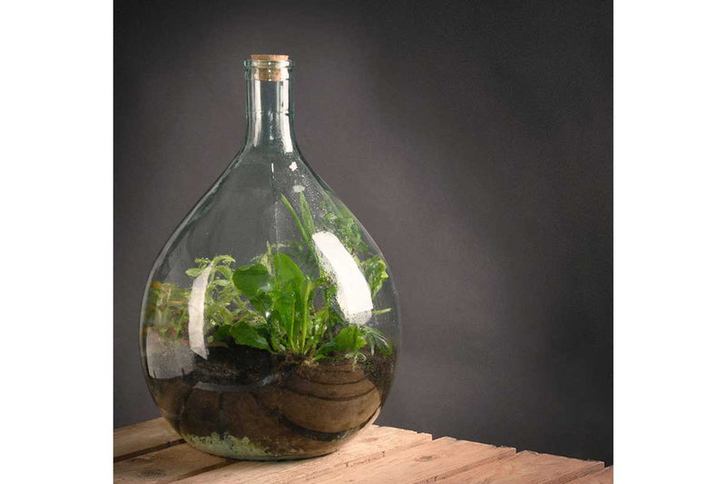 Terrarium bottle set 15lt