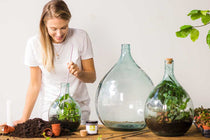 
                  
                    Terrarium bottle set 15lt
                  
                