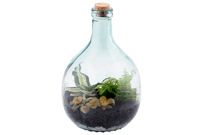 Terrarium bottle set 5lt