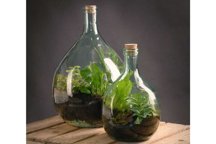 Terrarium bottle set 5lt