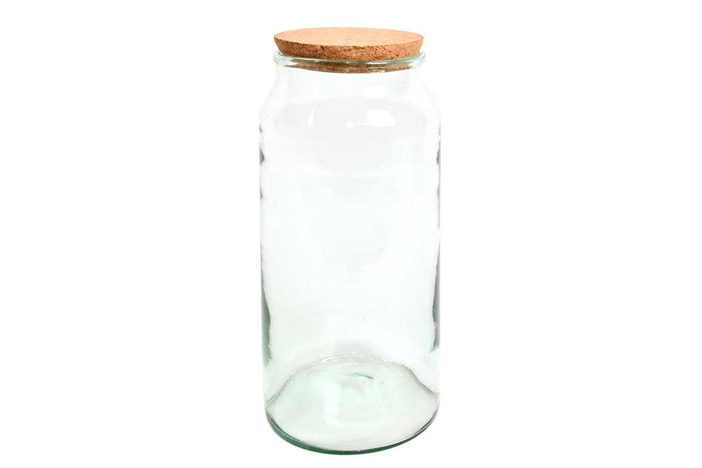 
                  
                    Terrarium bottle Large (AGG70)
                  
                