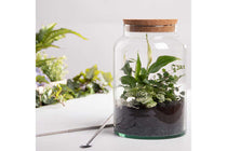 
                  
                    Terrarium bottle Medium (AGG69)
                  
                