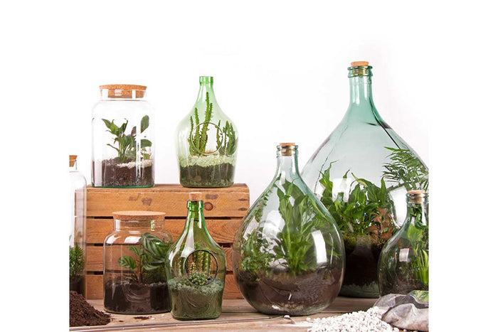 Terrarium bottle Small (AGG68)