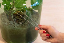 
                  
                    Terrarium tweezer (GT177)
                  
                