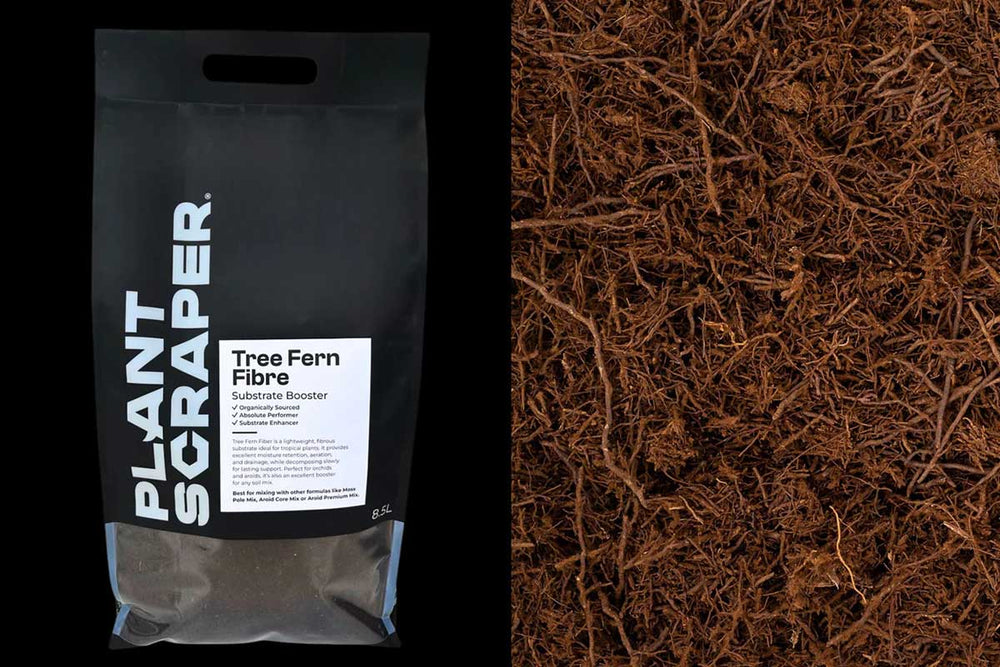 
                  
                    Tree Fern Fiber 8.5lt
                  
                