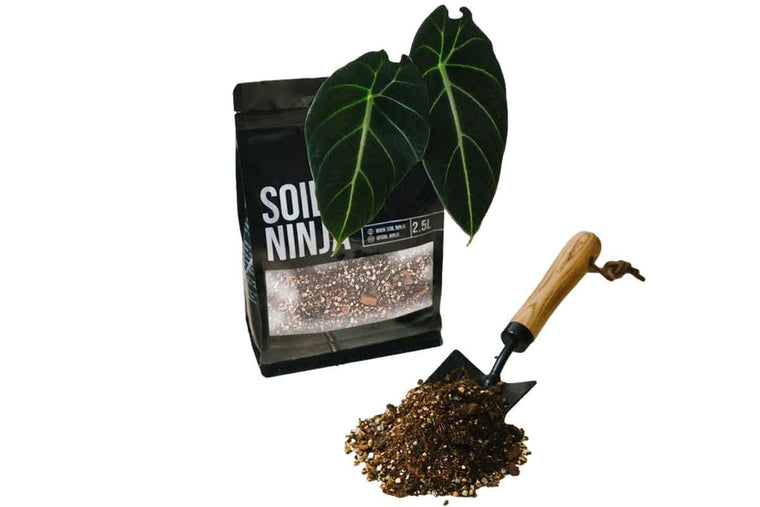 Soil Ninja® Alocasia Premium Blend 2.5lt