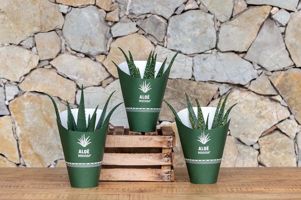 
                  
                    Aloe Medivera®
                  
                