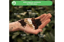 
                  
                    Bonsai Premium Mix 5lt
                  
                