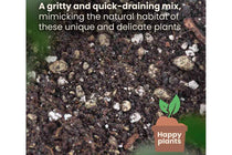 
                  
                    Bonsai Premium Mix 5lt
                  
                