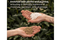 
                  
                    Bonsai Premium Mix 5lt
                  
                