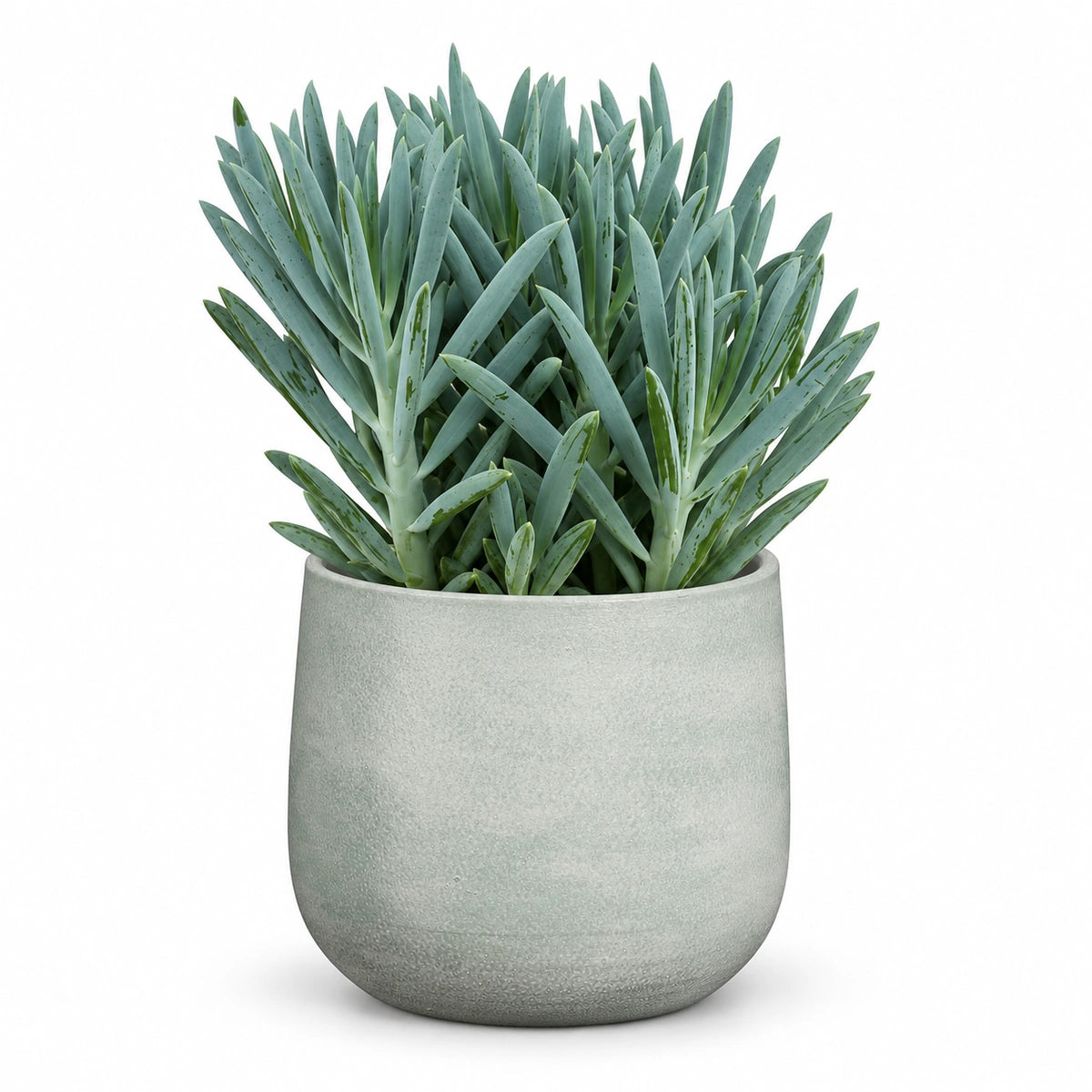 Curio 'Stelvio'® 15cm + Sevilla grey 16cm (1175803)