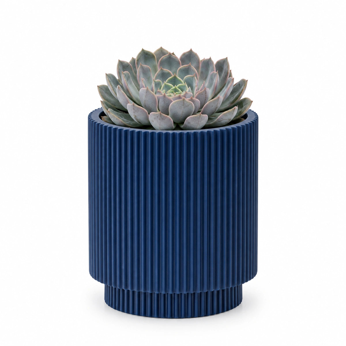 Echeveria 'orion' 13cm + Capi Vase cylinder groove dark blue 15cm (BGVDB313)