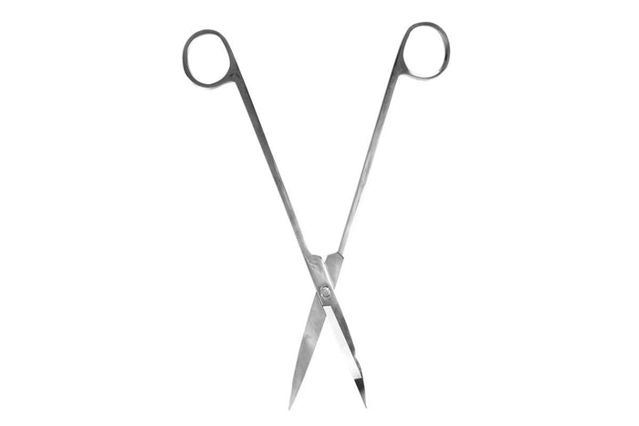 Τerrarium scissors (GT181)