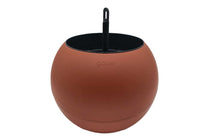 
                  
                    Globee® Terracotta
                  
                
