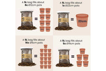 
                  
                    Carnivorus Premium Mix 5lt
                  
                