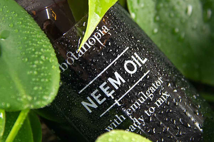 Neem Oil 100ml