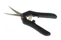 
                  
                    Pruning scissors
                  
                