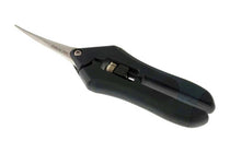 
                  
                    Pruning scissors
                  
                