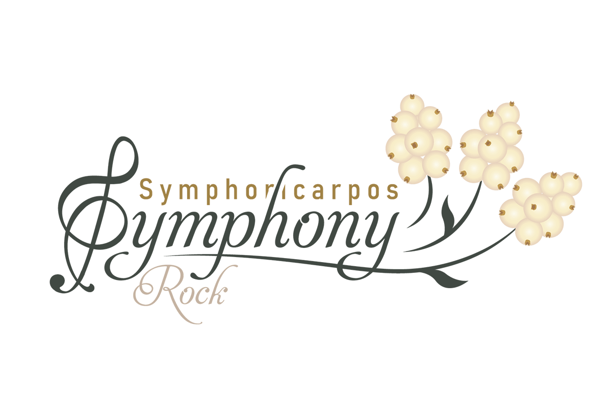 Symphoricarpos 'Symphony Rock'® 15cm