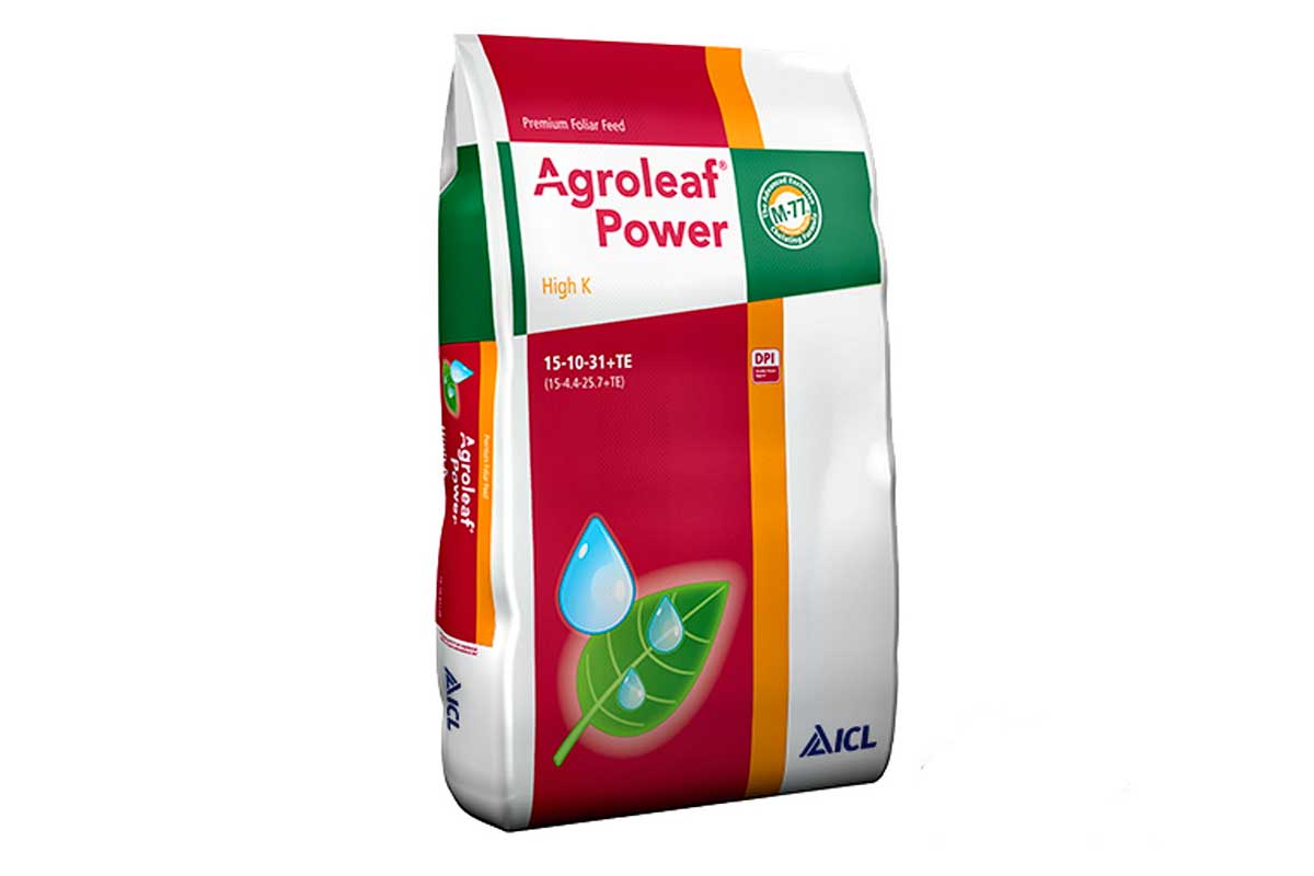 Agroleaf Power 15-10-31 +TE 2Kg