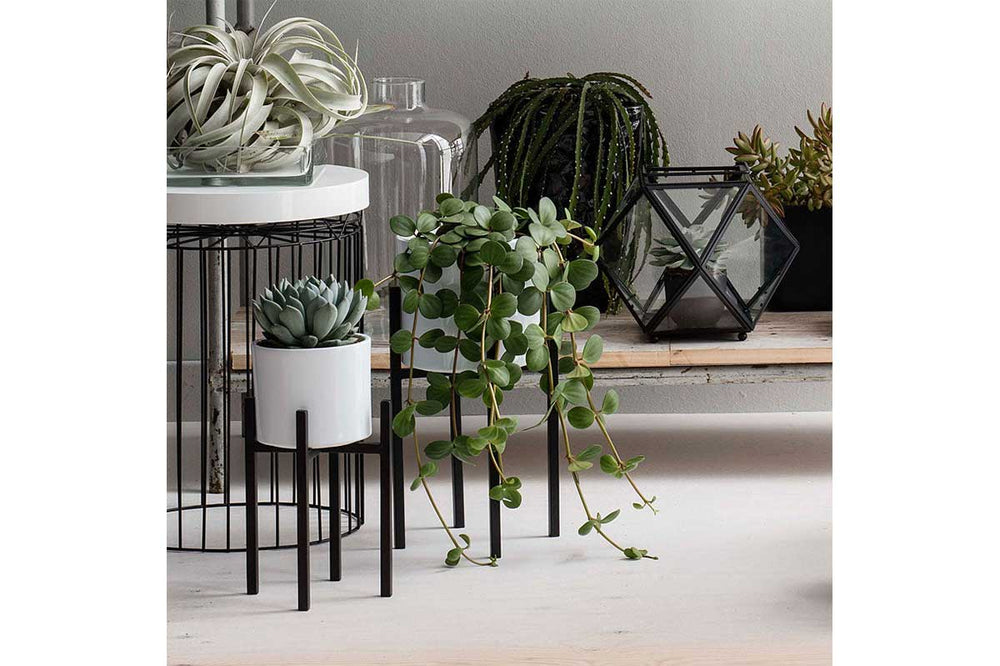
                  
                    Ascot plant stand black high 
                  
                