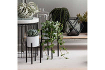 
                  
                    Ascot plant stand black high 
                  
                
