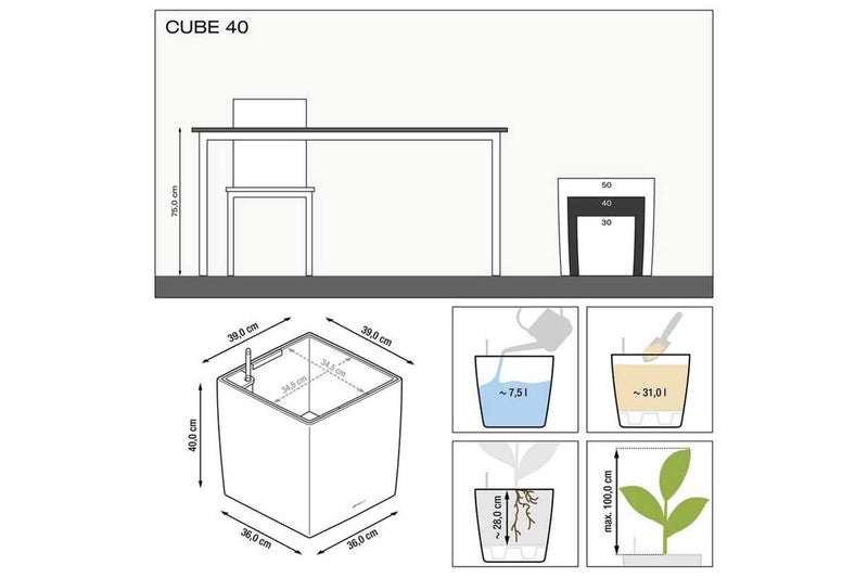 Cube Premium