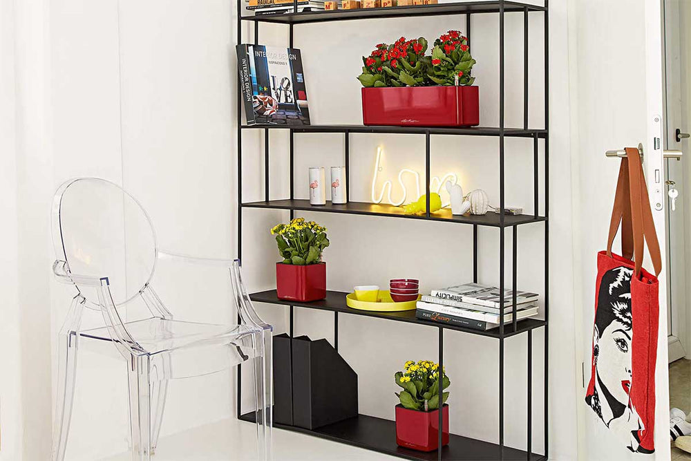 
                  
                    Lechuza Cube Glossy Triple
                  
                