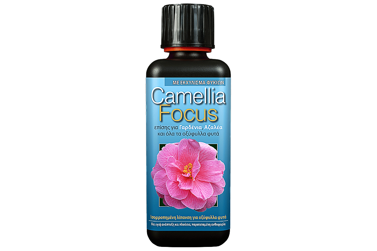 Camellia focus - Λίπασμα για Γαρδένιες, Καμέλιες
