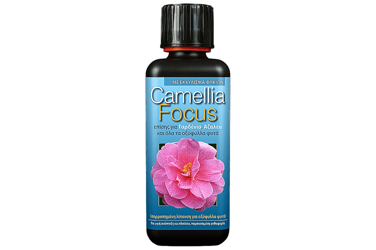 Camellia focus 300ml