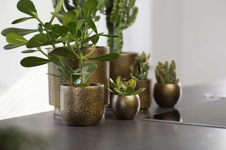 Capi Vase cylinder Terrazzo gold