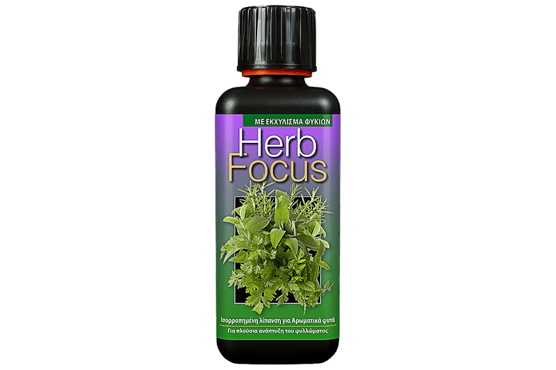 Herb focus 300ml