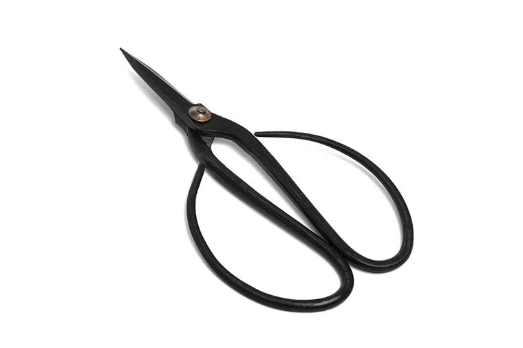 Bonsai butterfly root scissors