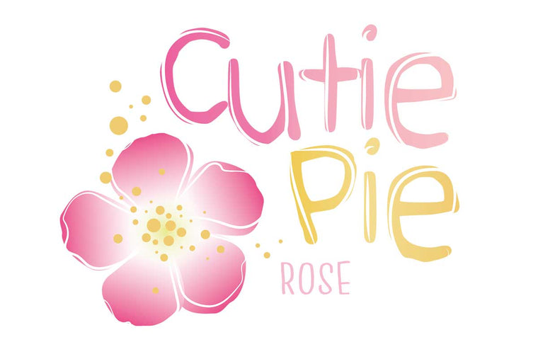 Rosa 'Cutie Pie'® 15cm