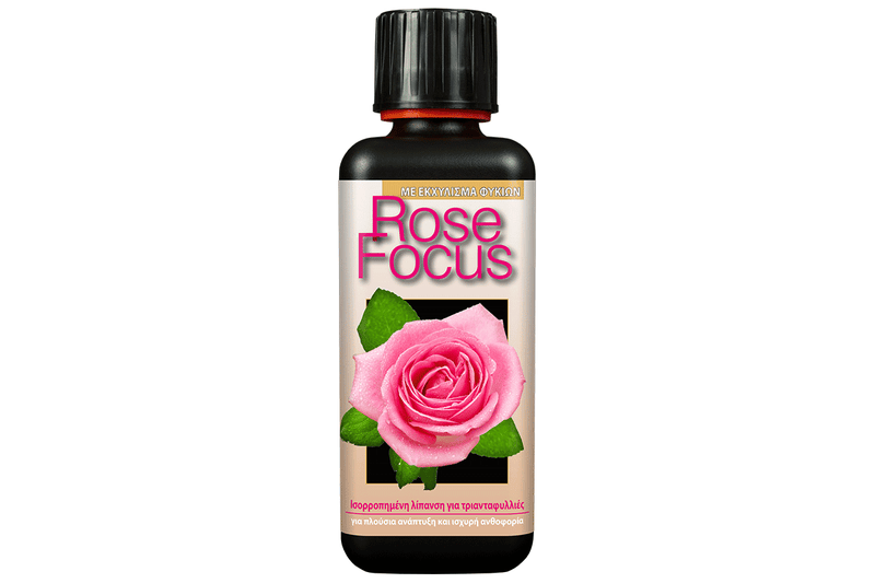 Rose focus 300ml