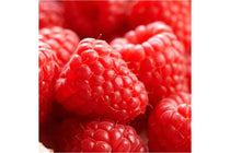 
                  
                    Rubus 'malling promise'
                  
                