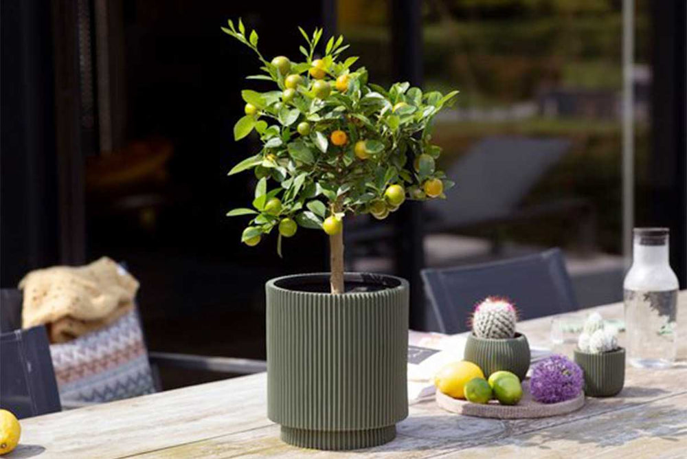 
                  
                    Capi Vase cylinder groove 
                  
                