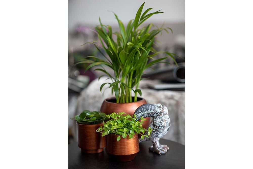 
                  
                    Capi Vase cylinder Retro copper 
                  
                