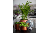
                  
                    Capi Vase cylinder Retro copper 
                  
                