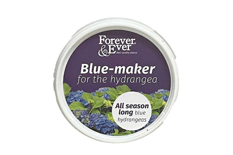 Forever&Ever Hydrangea blue-maker 200gr