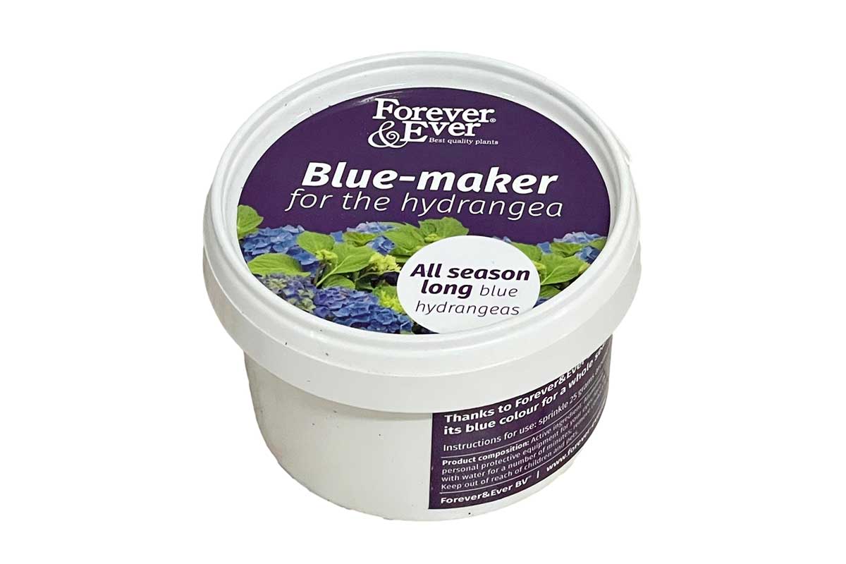 Forever&Ever Hydrangea blue-maker 200gr