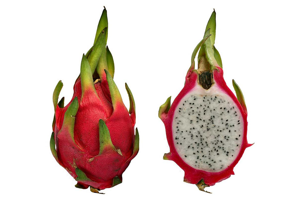 
                  
                    Hylocereus undatus 'dragon fruit' 12cm
                  
                