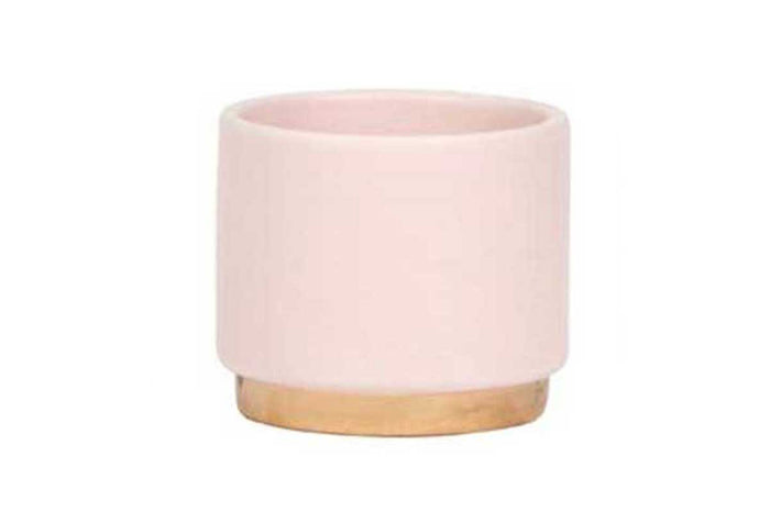 Gold foot pink 6cm
