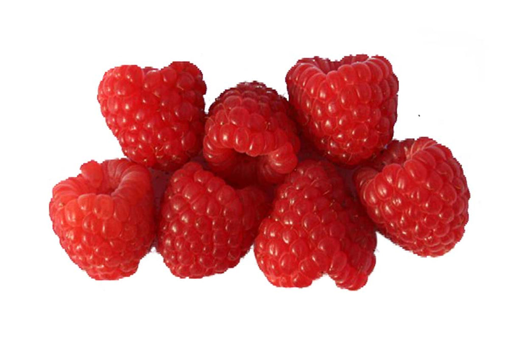 
                  
                    Rubus idaeus 'twotimer sugana red' - Σμέουρο κόκκινο καρπός
                  
                