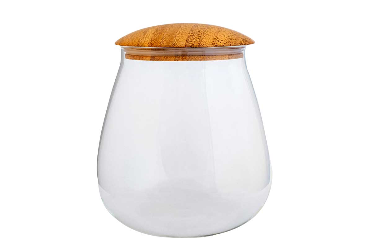 Collecton Jar 'Egg' - Βάζο για Τεράριουμ